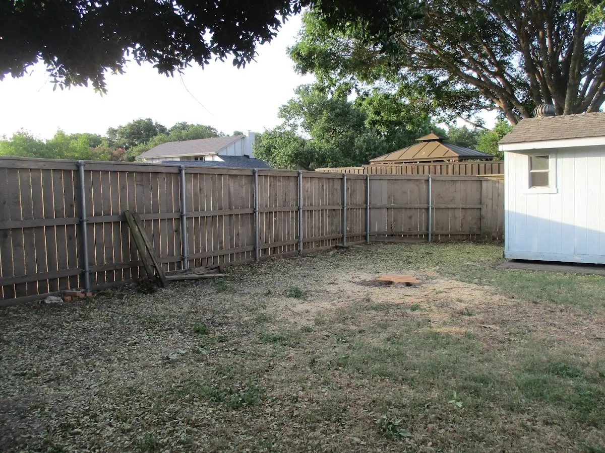 Cleared yard after professional tree removal in Haledon